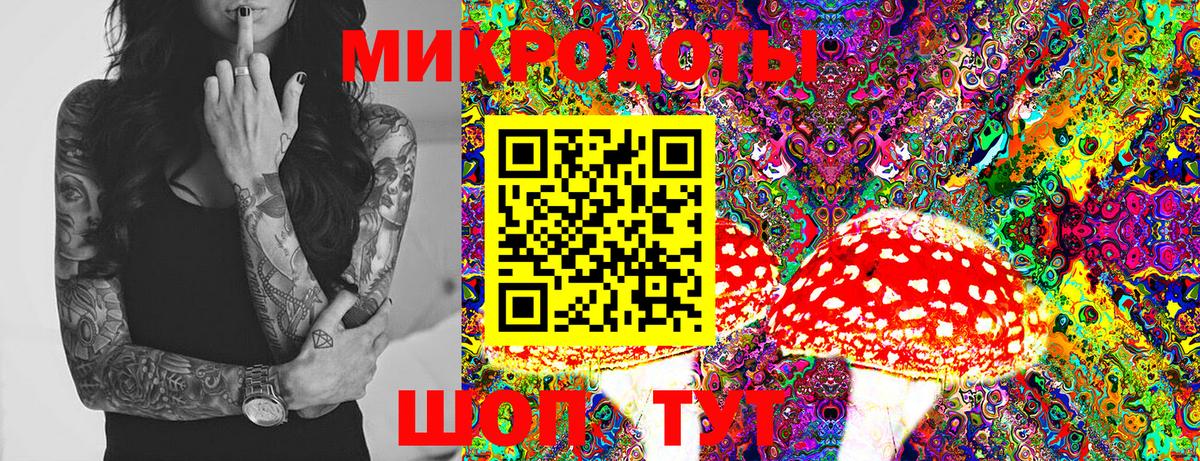 Псилоцибиновые грибы GOLDEN TEACHER  Галлюциногенные грибы Psilocybine cubensis  Вход с VPN  Чебаркуль 
