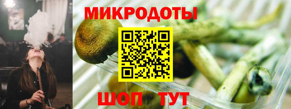 Галлюциногенные грибы Cubensis Чебаркуль